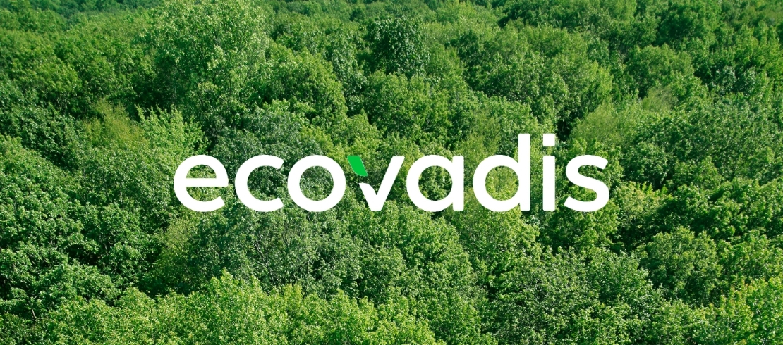 EcoVadis logo over a green forest canopy