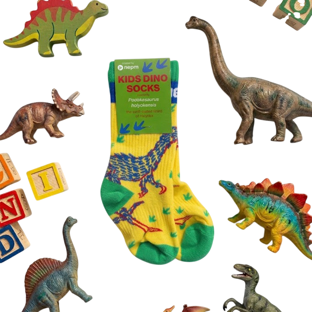 Custom Youth Athletic Socks lifestyle photo with dinosaur theme